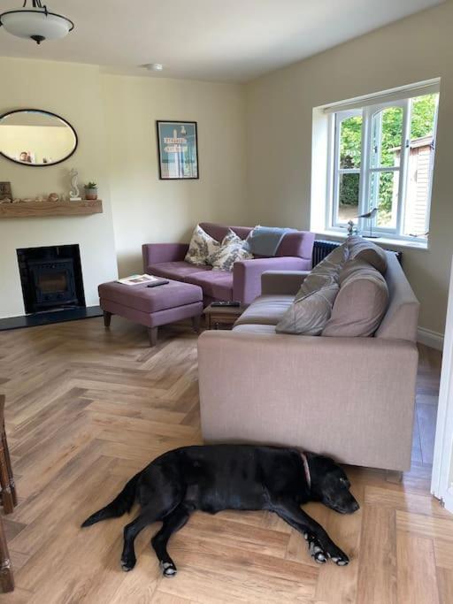 Lovely Quiet Sleeps 4 Adults, 4 Children, Dog Friendly Holiday home *